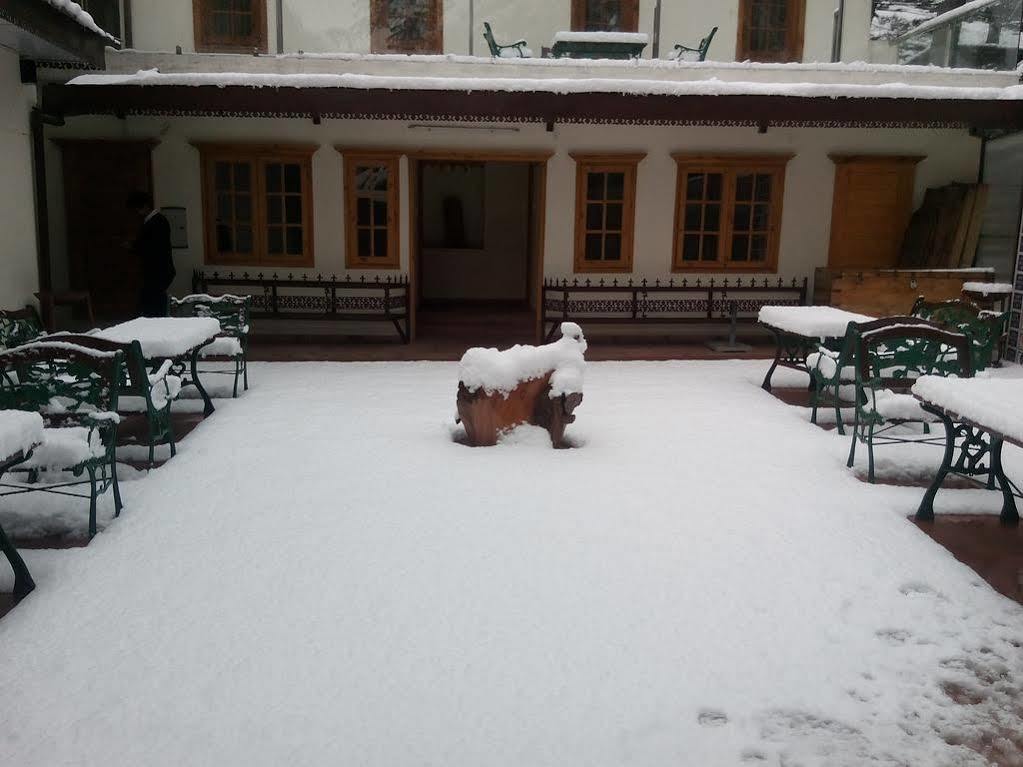 Torrentium Lodge Shimla Exterior photo